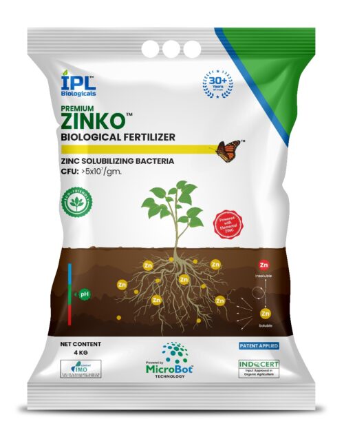 Premium Zinko