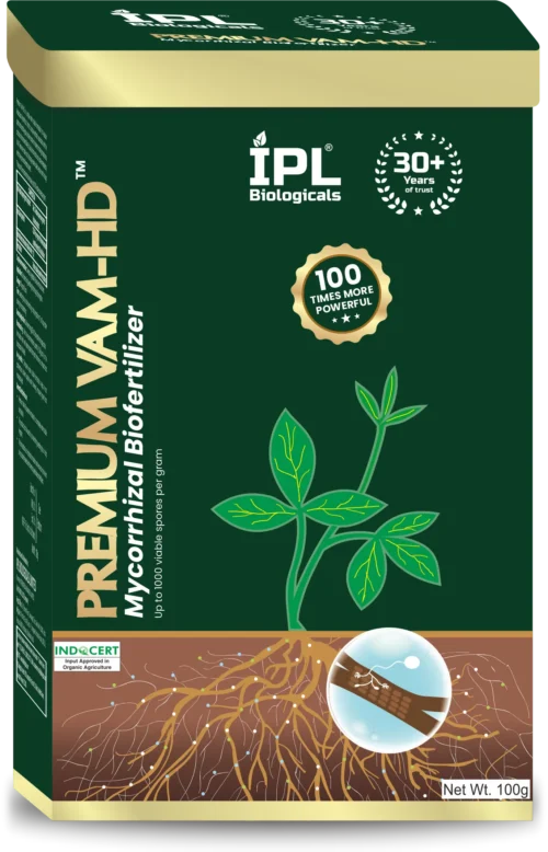 Premium VAM HD